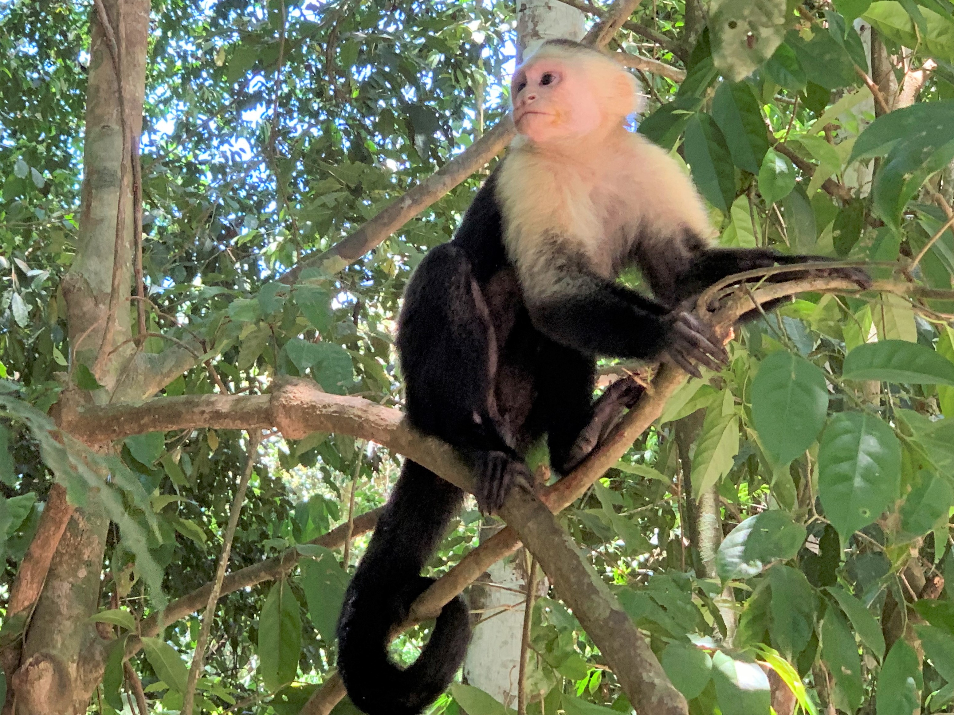 Costa Rica